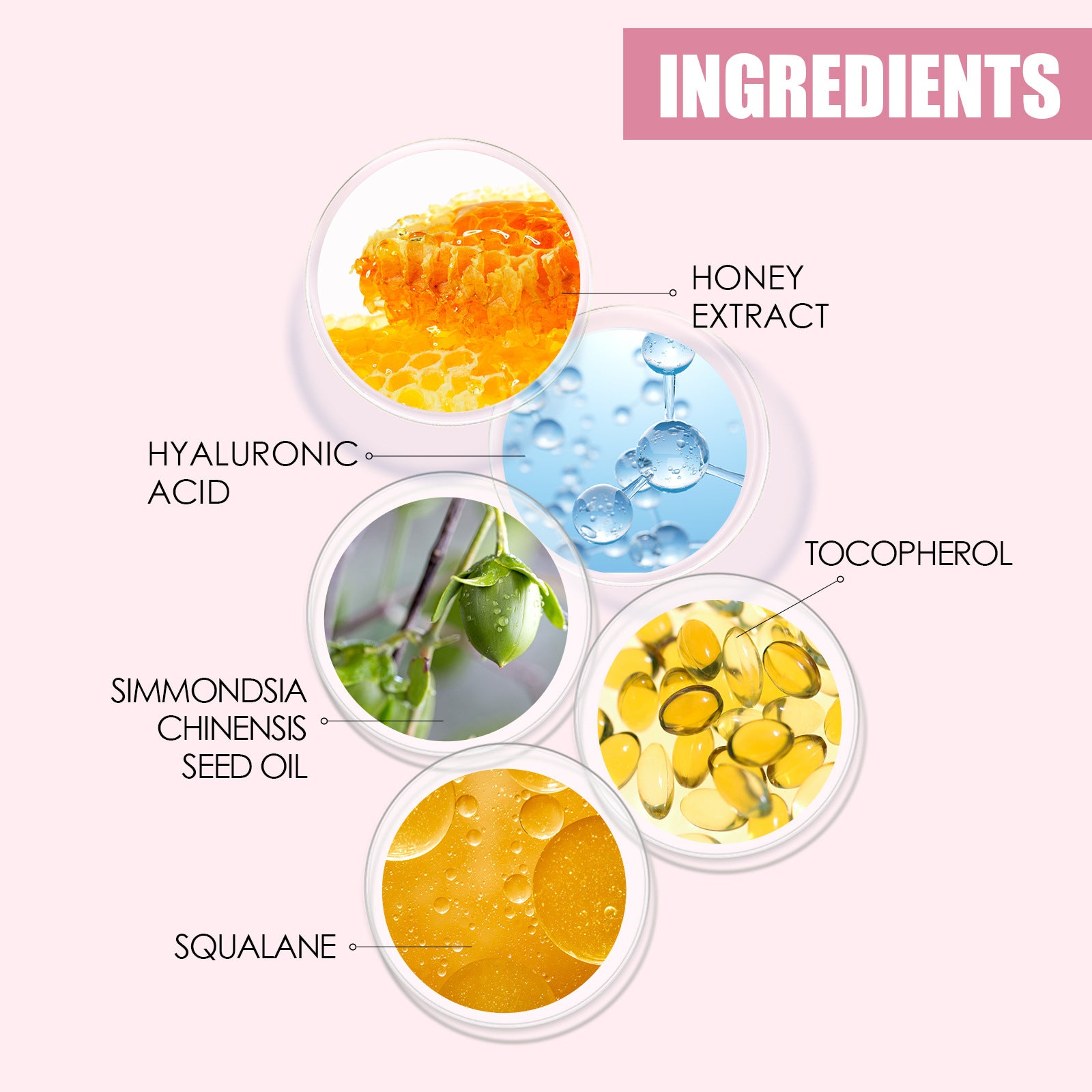 Honey Lip Oil - Plump & Shine